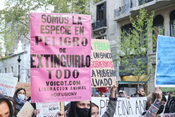 ブエノス アイレス アルゼンチン 2021年9月24日 地球温暖化ストライキの間 環境のスローガンで兆候を保持している若い活動家 私たちはすべてを絶滅させる危険にさらされている種です — ストック写真