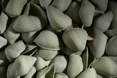 Gastronomik temalı arka plan, çiğ makarna, çerçeveyi dolduran ıspanak conchiglioni..