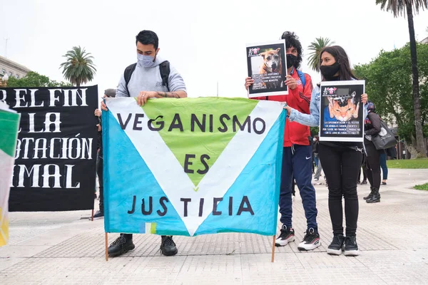 아르헨티나 아이레스 Nov 2021 World Vegan Day Demonstration Plaza Mayo — 스톡 사진