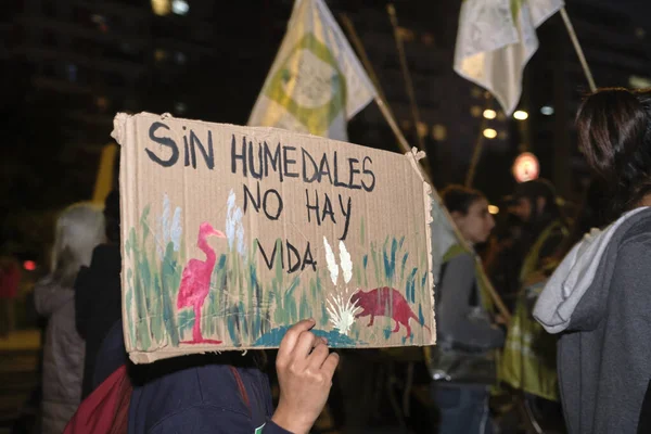 Buenos Aires, Arjantin; 22 Nisan 2022: Dünya Günü gösterileri sırasında yürüyüş yapan insanlar, üzerinde doğal bir manzara resmi olan imzalar ve 