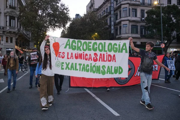 Buenos Aires Argentyna Maja 2022 Protest Przeciwko Stosowaniu Gmo Toksycznych — Zdjęcie stockowe
