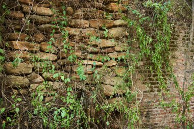 Dec 28, 2021, Entre Rios, Argentina: ancient walls of the Jesuit ruins of La Calera del Palmar, a historical site located inside El Palmar National Park.