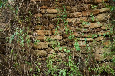 28 Aralık 2021, Entre Rios, Arjantin: El Palmar Milli Parkı 'nda bulunan tarihi bir yer olan La Calera del Palmar Cizvit kalıntılarının antik duvarı.