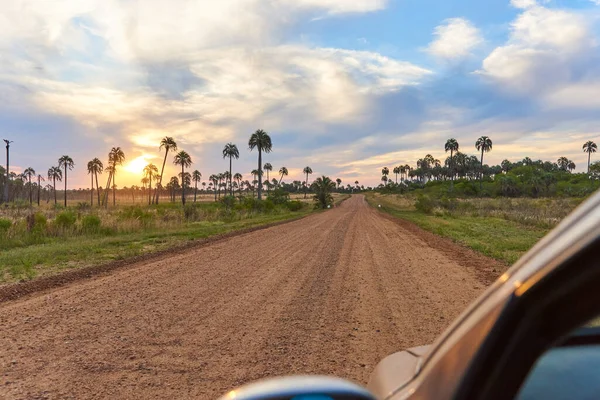 Dramatic sunset in El Palmar National Park, in Entre Rios, Argentina, a natural protected area where the endemic Butia yatay palm tree is found. A dirt road to the horizon, a car and a dramatic sky.