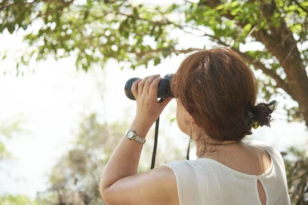 İspanyol olgun kadın, Arjantin, Entre Rios 'taki El Palmar Ulusal Parkı' ndaki bir gözcü noktasından dürbünden bakıyor. Konseptler: aktif yaşam, doğaya seyahat, açık hava ve maceranın tadını çıkar