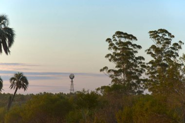 Doğal manzara, gün batımında bitki örtüsüyle çevrili bir yel değirmeni silueti. El Palmar Ulusal Parkı, Entre Rios, Arjantin