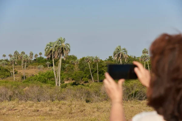 Unrecognizable Woman Taking Photos Her Phone Palmar National Park Entre — Φωτογραφία Αρχείου