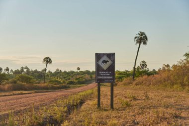 31 Aralık 2021, El Palmar Ulusal Parkı, Entre Rios, Arjantin: Kapibaranın çizimi ve metnin yavaşlaması ile birlikte toprak yol ve tabela. Vahşi yaşam geçidi. Konseptler: eko turizm, doğa koruma.