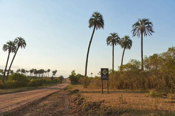 Dec 2021 Palmar National Park Entre Rios Argentina Dirt Road — ストック写真