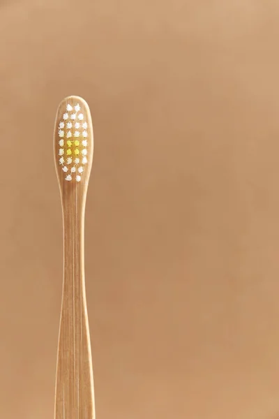 Ecological Bamboo Toothbrush Concepts Sustainable Lifestyle Use Compostable Environmentally Friendly — Stock Photo, Image