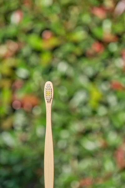 Ecological Bamboo Toothbrush Green Natural Plants Background Concepts Sustainable Lifestyle — Stok fotoğraf