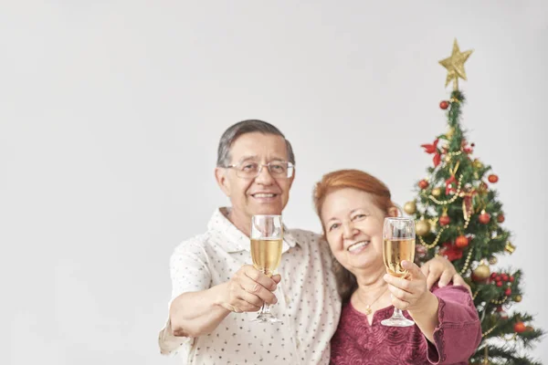 Happy Senior Latin Couple Toasting Camera Christmas New Year Celebrating — Stock Photo, Image