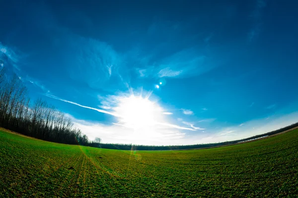 Green field fisheye photo — Stock Photo, Image