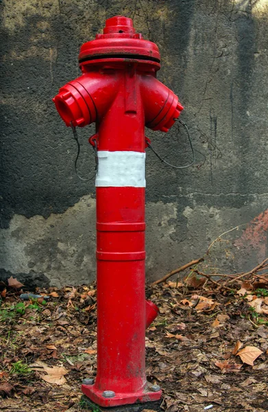 红色消防栓 — 图库照片