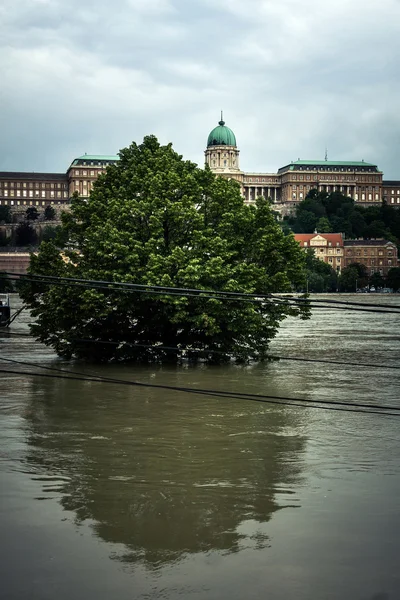 Затопленная местность Европы — стоковое фото