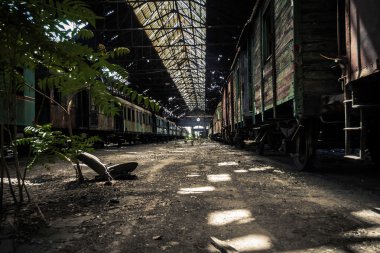 terk edilmiş tren depo eski trenleri