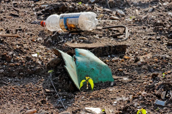 Des ordures sur le rivage — Photo