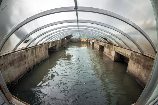 Schoonmaak-waterfaciliteit — Stockfoto