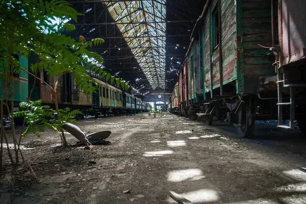 Régi vonatok elhagyott vonat telepen — Stock Fotó