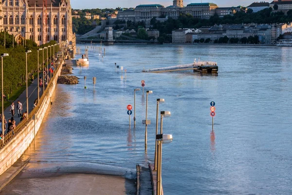 Terrain inondé en Europe — Photo