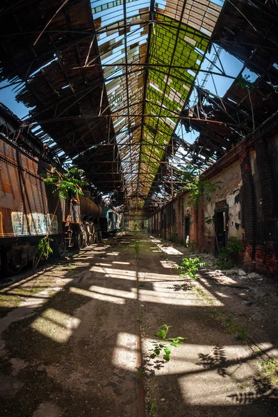 Oude treinen bij verlaten trein depot — Stockfoto