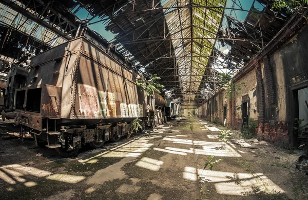 Trens antigos em depósito de trem abandonado — Fotografia de Stock