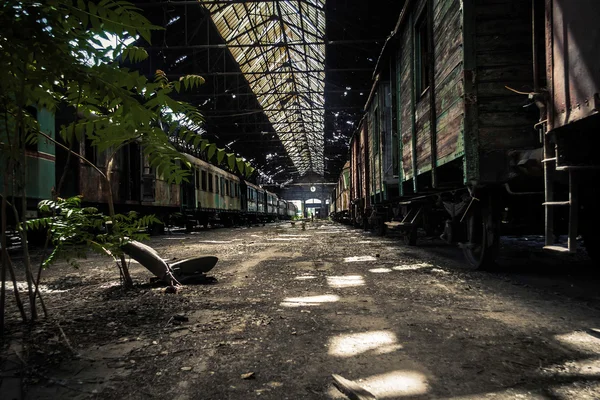 Viejos trenes en el depósito de trenes abandonado —  Fotos de Stock