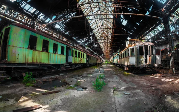 Несколько поездов на заброшенном вокзале — стоковое фото