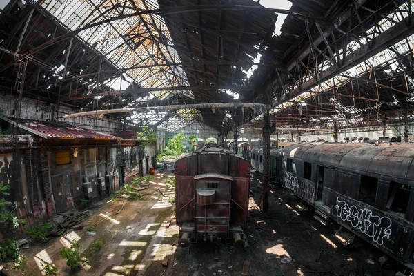 Trens antigos em depósito de trem abandonado — Fotografia de Stock