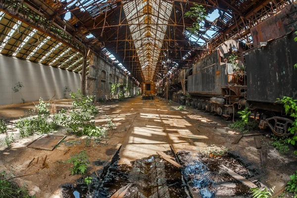 Trens antigos em depósito de trem abandonado — Fotografia de Stock