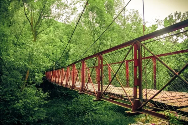 Ponte na floresta — Fotografia de Stock