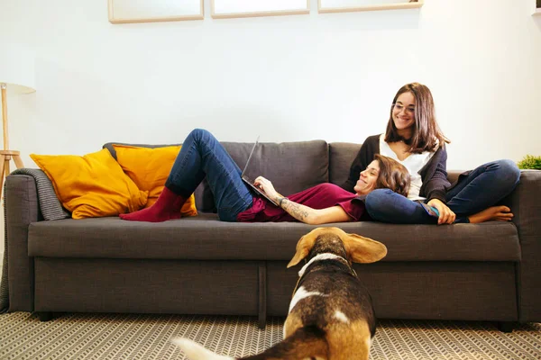 Coppia lesbica con cane sul divano con laptop — Foto Stock