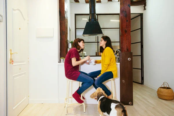 Coppia lesbica fare colazione nella loro cucina con il loro cane — Foto Stock