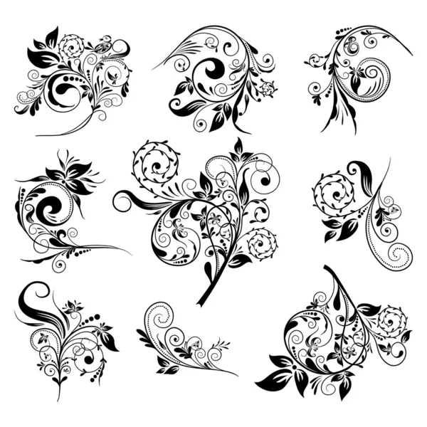 Set of floral elements for design, vector — Stock Vector