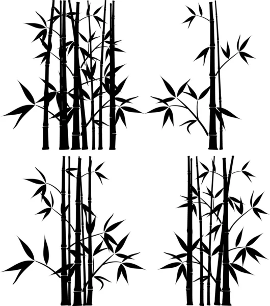 Bamboo, vector — Stock Vector