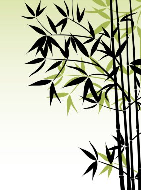 Bambu arka plan, vektör