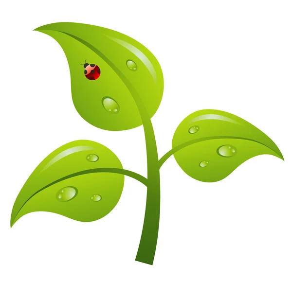 Arbre à branches vert, vecteur — Image vectorielle