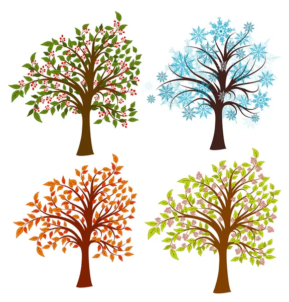 Four seasons trees, vector — Stock Vector