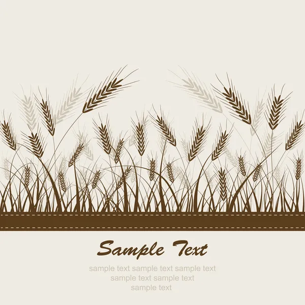 Contexte abstrait du blé, vecteur — Image vectorielle