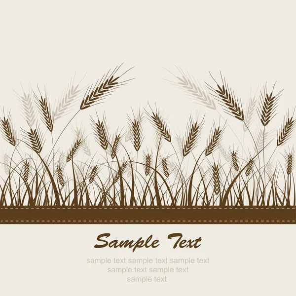 Abstract wheat background, vector — Stock Vector