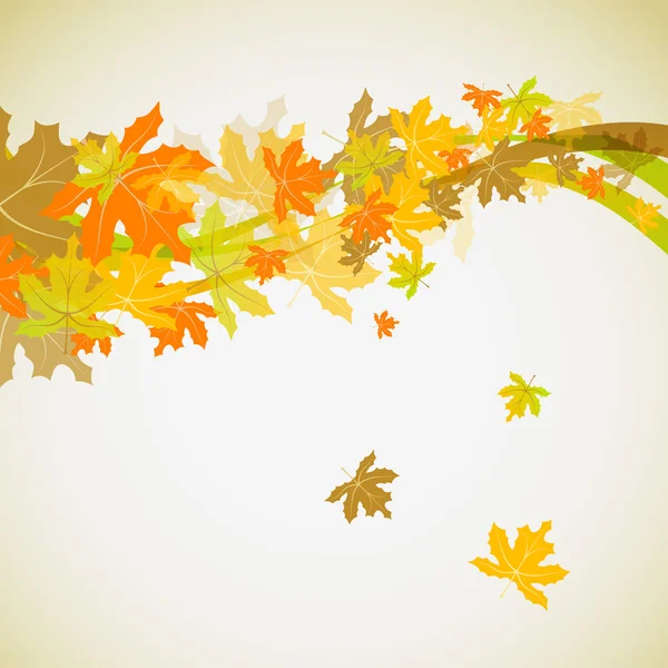 Maple autumn background, vector — Stock Vector