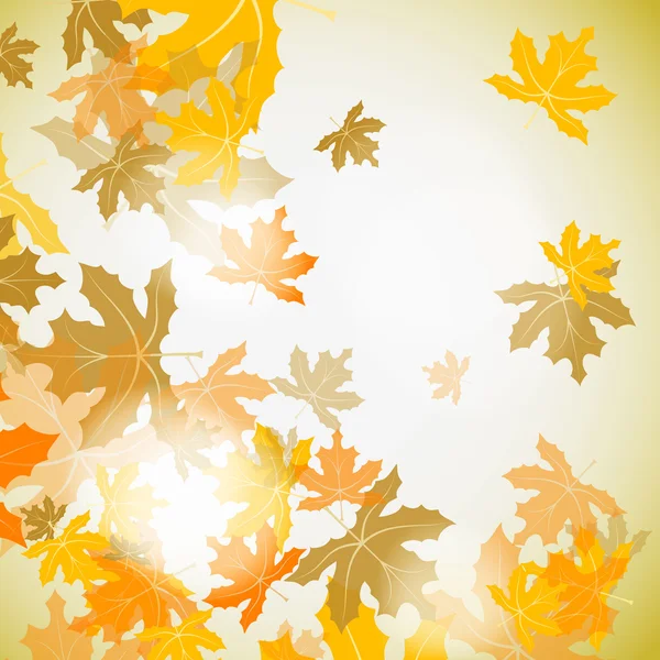 Maple autumn background, vector — Stock Vector