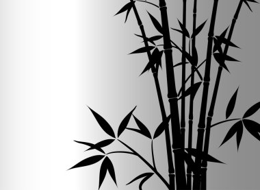 Bambu arka plan, vektör