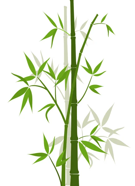 Bambu arka plan, vektör