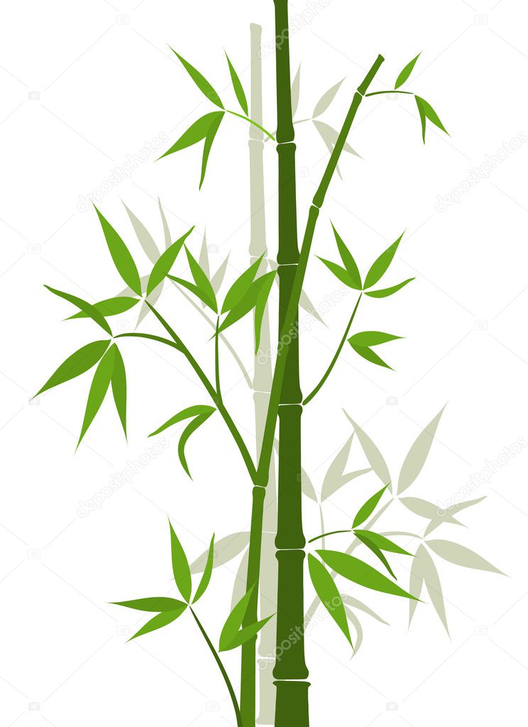 Bamboo background, vector — Stock Vector © Tolchik #26949597