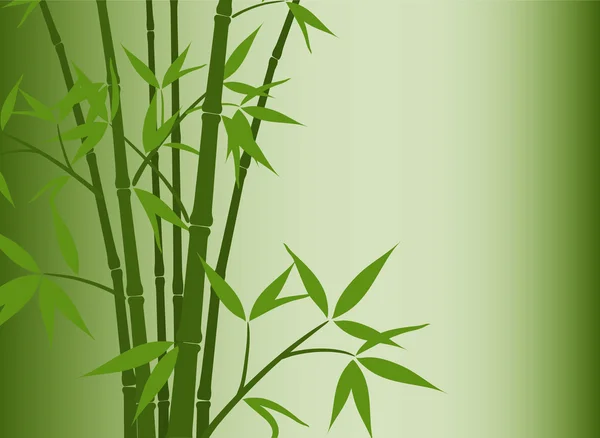 Fond en bambou, vecteur — Image vectorielle