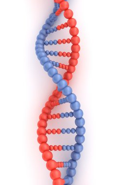 dna kodu 3d konsept üzerine beyaz izole