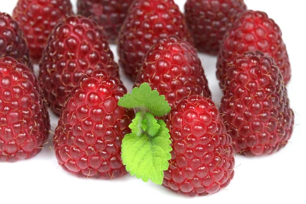 Raspberries — Stock Photo, Image