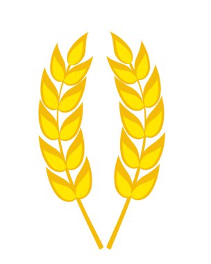 Mısır gevreği kulaklar