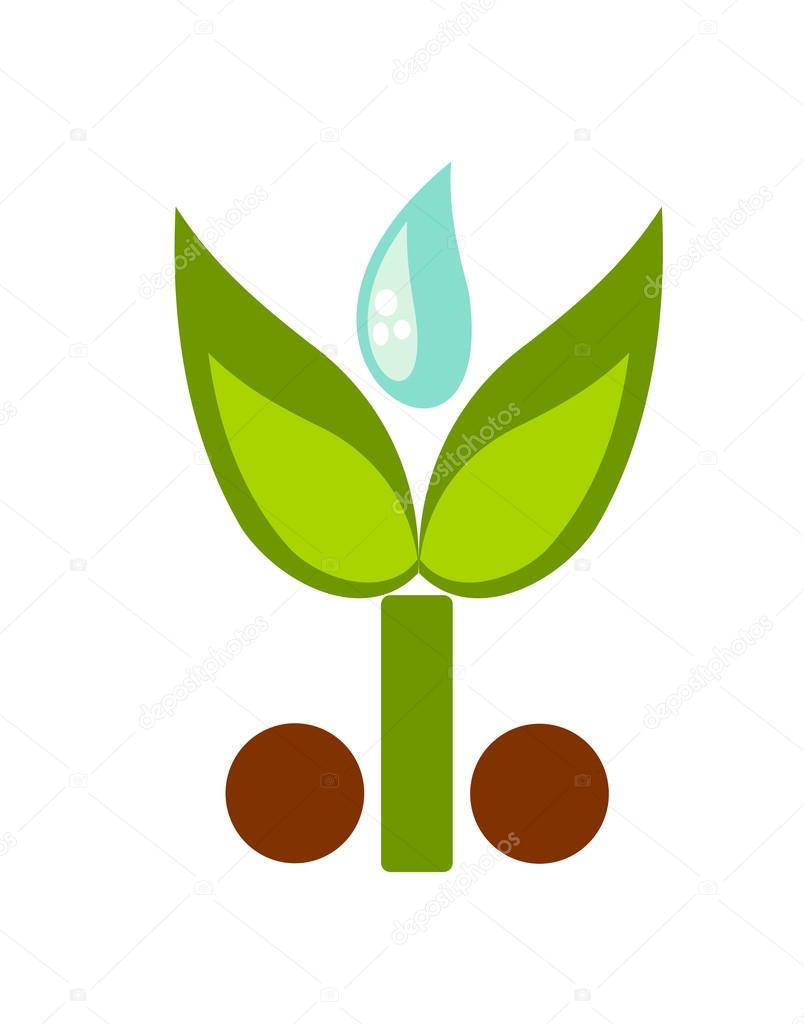 Green symbolic young plant and water drop illustration